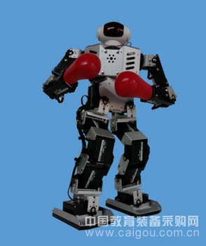 minirobo metalfighter金刚战士拳击机器人