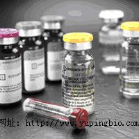 鹦鹉衣原体IgG(Chlamydia IgG)酶联免疫分析(ELISA)说明书