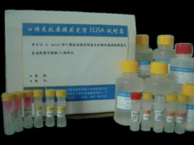 人过敏毒素/补体片断4(C4a)ELISA试剂盒