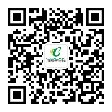 中国人民大学附属中学校领导莅临川布兰参观指导 中国人民大学附属中学校领导莅临川布兰参观指导
