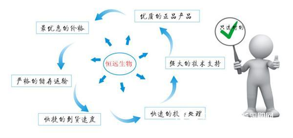 BIM试剂盒解析:干扰素作用特点及作用机制