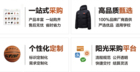 北京市發布“體育八條”新政 校體購平臺助力學校體育器材采購提質增效