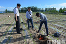 EMS-PICO TDR土壤水分监测系统在新疆运行