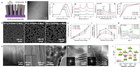 ACS Nano：原子层沉积技术助力复杂纳米结构的合成和调控取得新进展