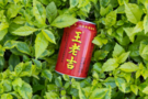 大膽預測：王老吉定制罐，未來高考打call新物種