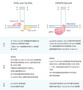 基因編輯技術 CRISPR/Cas9，“魔剪”一文通~ | MedChemExpress