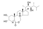 24-表蕓苔素內酯 78821-43-9