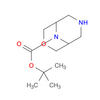 (1R,5S)-叔-丁基 3-氧杂-7,9-二氮杂二环[3.3.1]壬烷-9-甲酸基酯