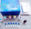 人促卵泡素(FSH)检测/（ELISA）kit试剂盒/免费检测