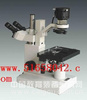 倒置显微镜/倒置生物显微镜  型号：HAD-XDS-100