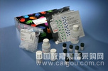 人RV Ag试剂盒,RV Ag ELISA KIT,人轮状病毒抗原试剂盒 