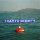 ZH10292近海遥测波浪仪