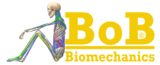 BOB人体骨骼肌肉仿真建模软件