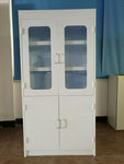 山东林赛实验室储物柜实验储物柜药品柜WJG-1