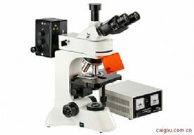 江西荧光显微镜MF30