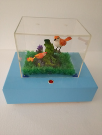 幼儿科学室建设方案 科学发现室配备目录 趣味动感鱼