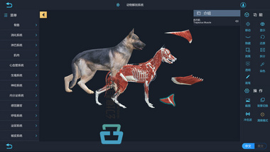 vr动物解剖软件 虚拟仿真教学软件