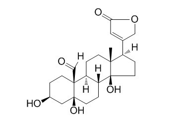 毒毛旋花子苷K 66-28-4