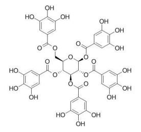 1,2,3,4,6-O-五沒食子酰葡萄糖 14937-32-7
