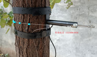 果树胸径生长变化记录仪