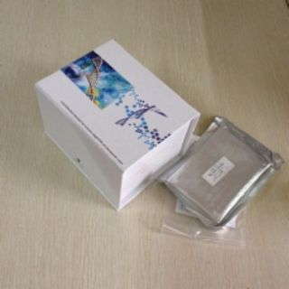 小鼠β半乳糖苷酶(βGAL)ELISA试剂盒