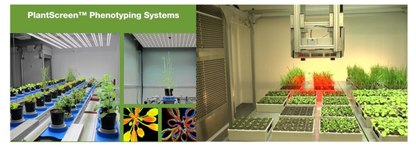 2019分子植物育种大会胜利召开