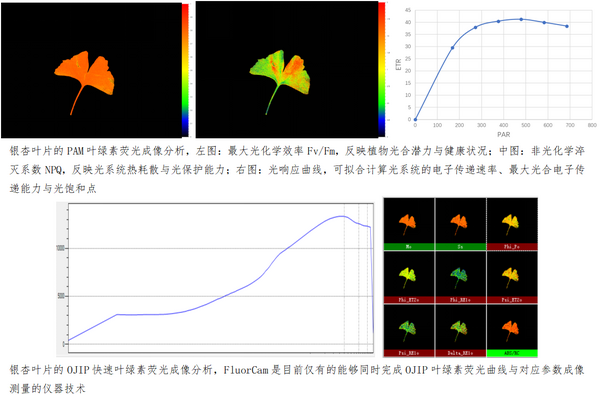 易科泰FluorCam多光谱荧光成像系统落户兰州大学