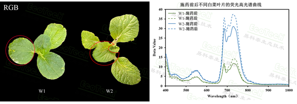 易科泰植物表型成像技术在植保领域的应用