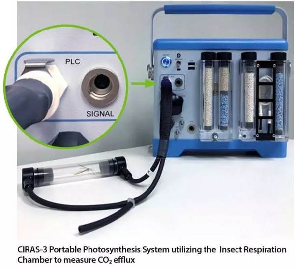 使用CIRAS-3测定昆虫呼吸速率方法介绍