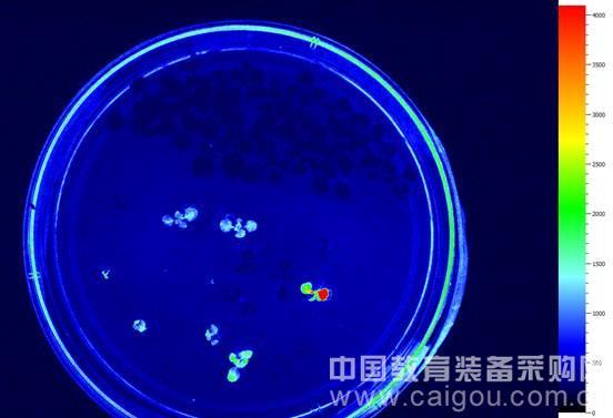 第二届分子植物国际研讨会易科泰表型成焦点