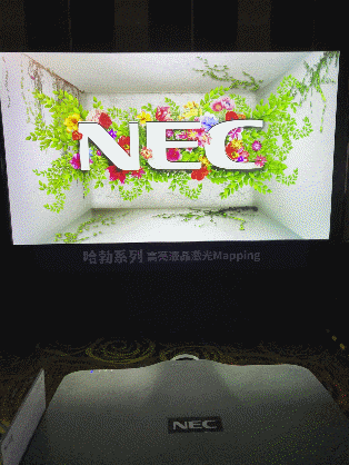 驭无界赢未来 NEC商教投影新品推广会隆重启航