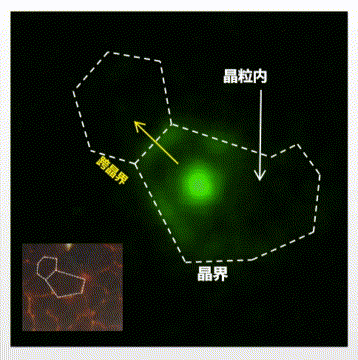鈣鈦礦載流子熒光壽命成像|光電流成像
