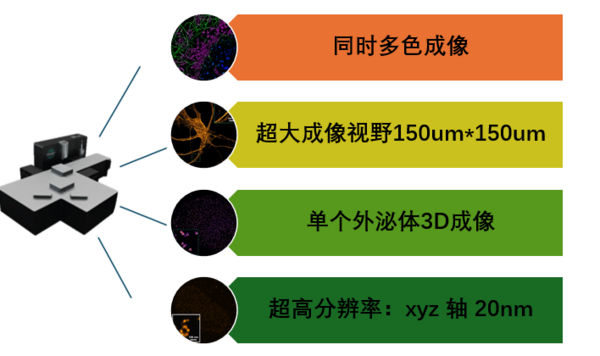 單分子超分辨成像系統順利落戶多所知名院校，助力我國高校捕獲微觀世界“奇跡”！