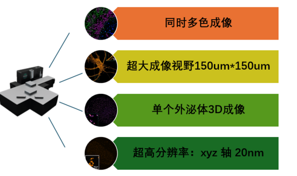 单分子超分辨成像系统顺利落户多所知名院校，助力我国高校捕获微观世界“奇迹”！