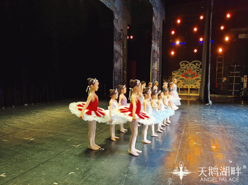 天鹅湖畔首届年度艺术展演——《天鹅梦境》演出预告