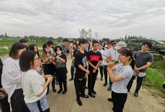 西南財經大學和四川農業大學學子同上勞動教育課 體驗現代農業魅力