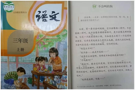 上海著名小学整本书阅读课大曝光，原来牛娃都这么读书