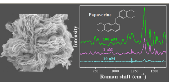 激光拉曼光谱仪|新型超灵敏表面增强拉曼技术在制药领域的应用