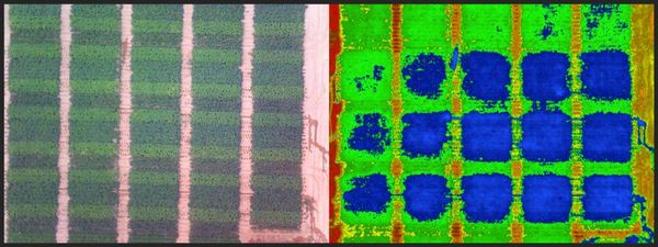 Wiris Agro机载作物水分胁迫指数成像仪发布