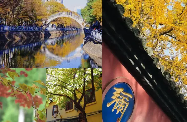 科技賦能教育！itc保倫股份攜教育新品重磅亮相第84屆中國教育裝備展示會！