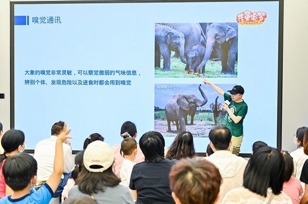 两城四站，华为应用市场“共‘童’追梦”系列分享陪孩子欢度六一