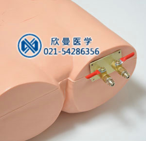 腹腔穿刺模拟人,腹腔穿刺训练模型
