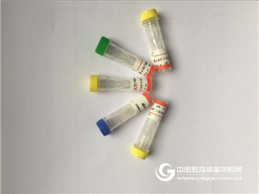 三磷酸肌醇抗体,IP3抗体使用说明书