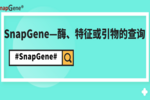 SnapGene——酶、特征或引物的查詢