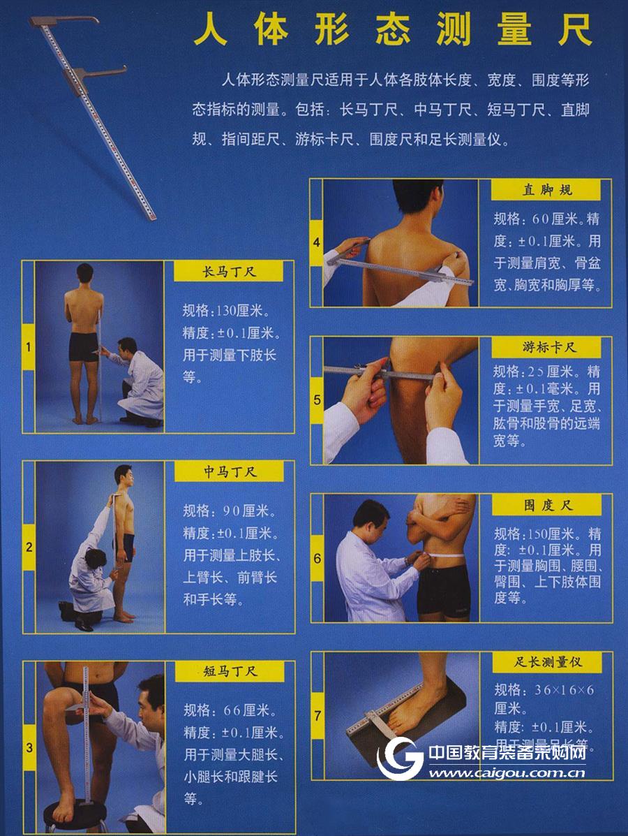 人体形态测量尺