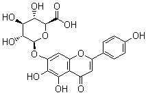 野黄芩苷(灯盏花乙素)scutellarin