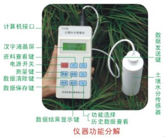 土壤水分温度测定仪/土壤水分测定仪