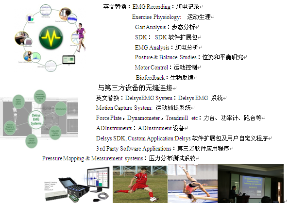 表面肌电（EMG）测试系统