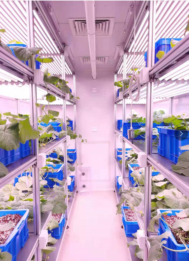 杭州利全+培養架型人工氣候室